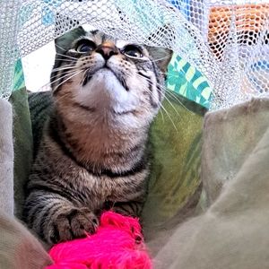 Meet your Posher, Vicki